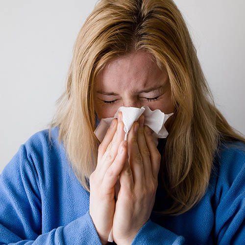 Vue interieure de la Pharmacie Principale
